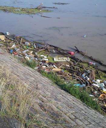 smeće đubre dunav reke zagađenje ekologija