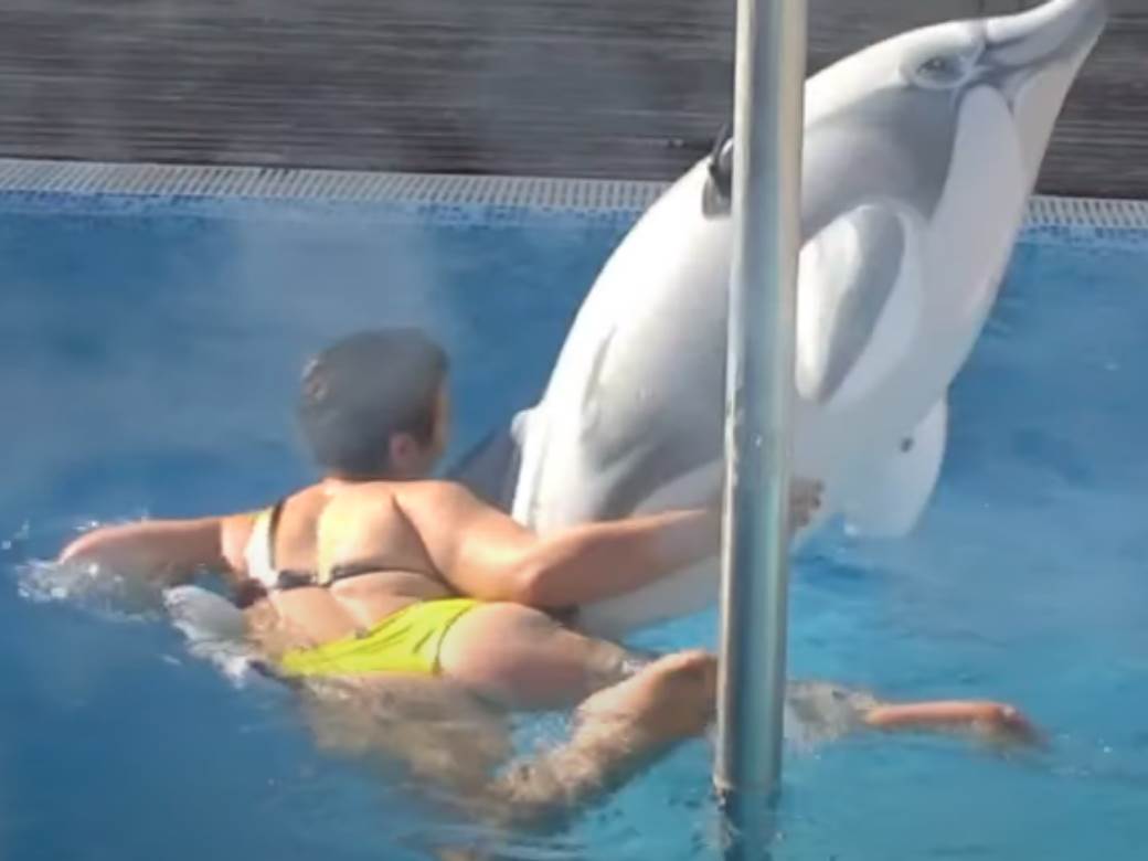  Miljana naskače na delfina u bazenu video 