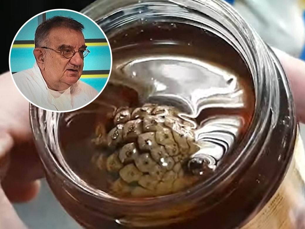  Dr Vojislav Perišić o medu od borovih iglica 