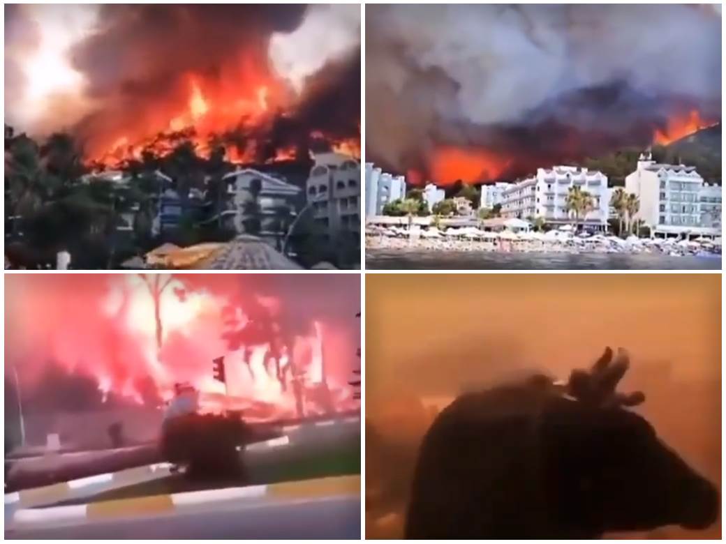  Požar-Tursk 