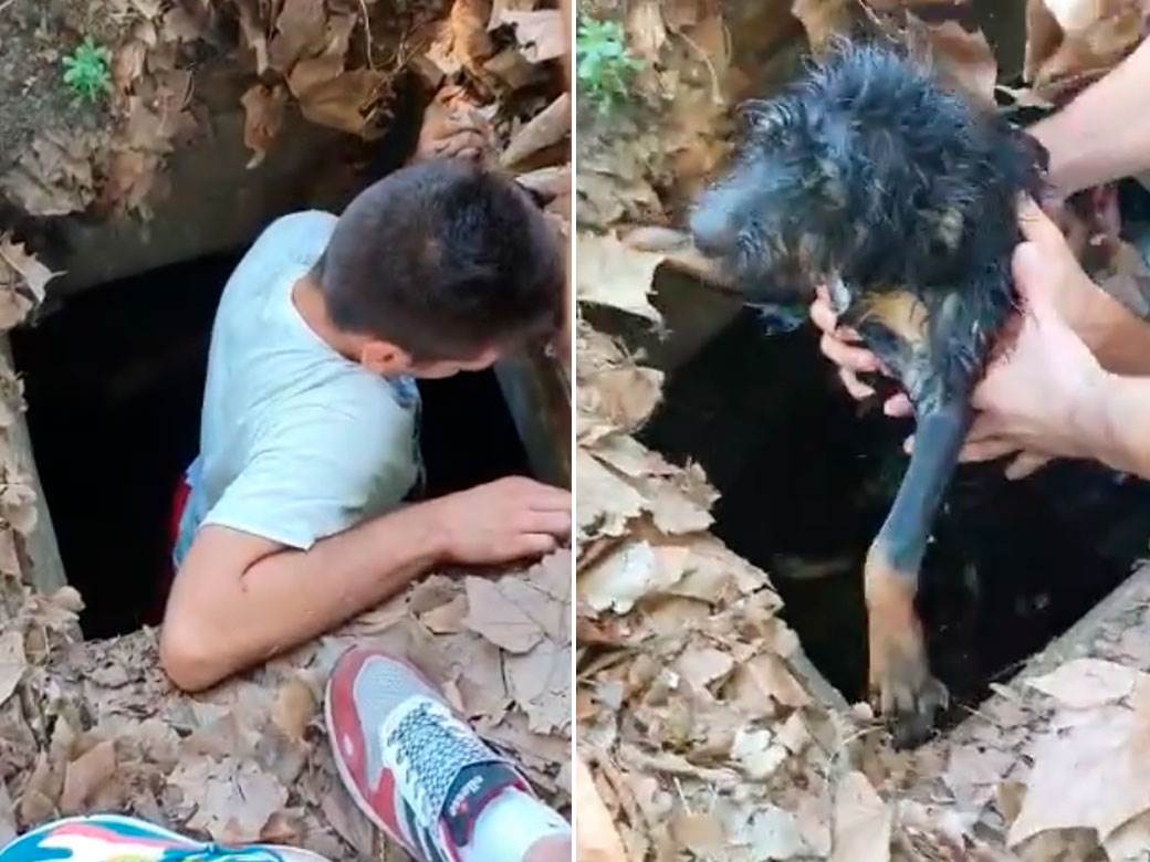  Snimak spasavanja psa u Pančevu 