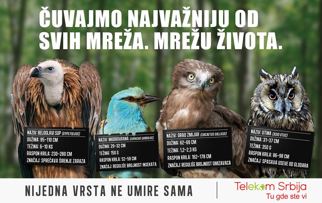  Nijedna vrsta ne umire sama nova kampanja Telekoma Srbija 