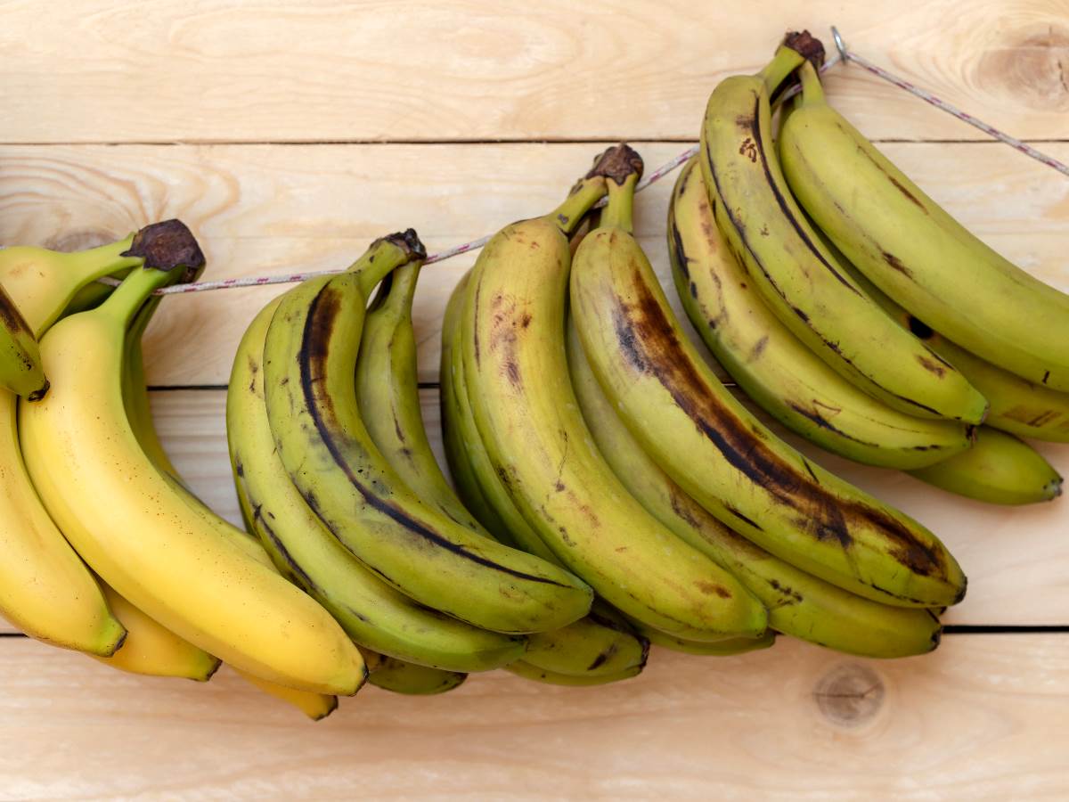  Razlike između zelenih, zrelih i prezrelih banana 