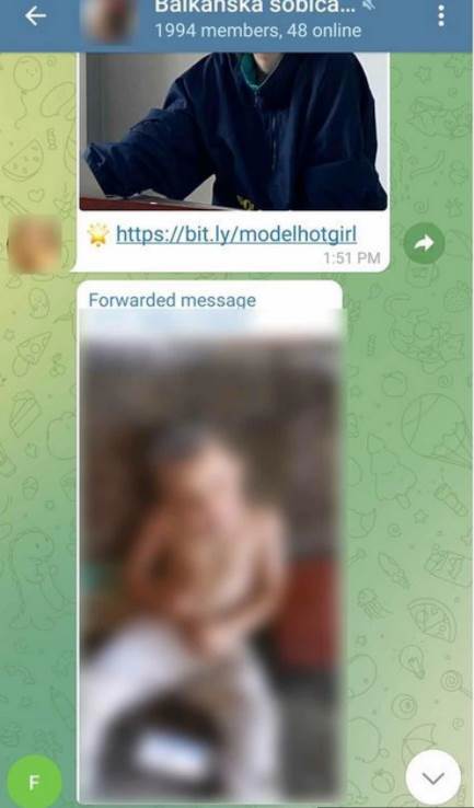  Istraga protiv Telegram pedofilske grupe Balkanska sobica 