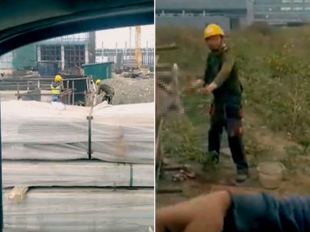  Kineski radnici odrali životinju na gradilištu u Zrenjaninu 