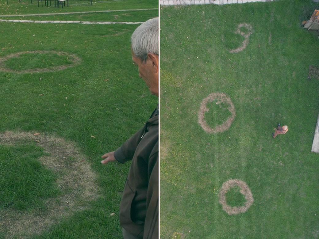  Spaljeni krugovi na travi kod Čačka 