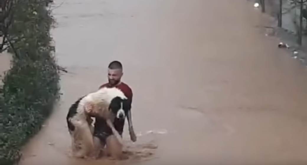  Spasavanje psa iz poplave 