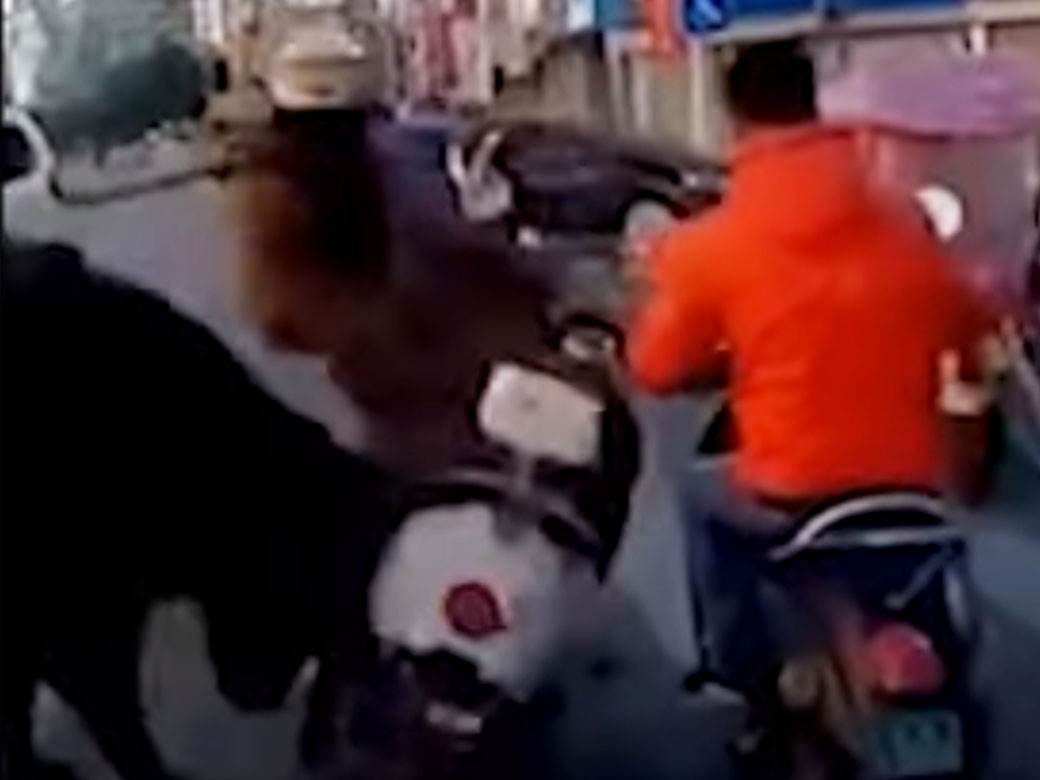  Bizon oborio ženu sa skutera u Kini 