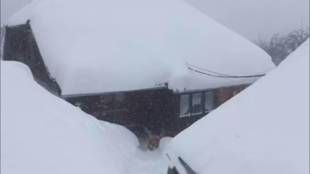  Pola metra snega napadalo u zapadnoj Srbiji 