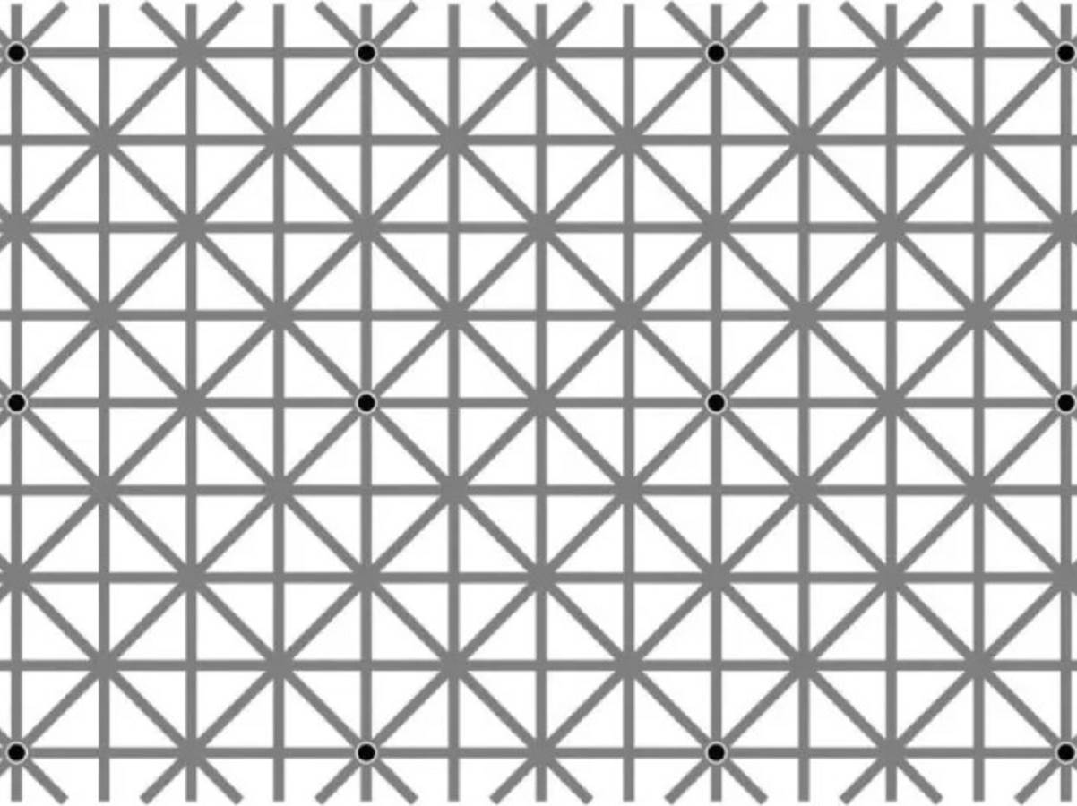  Optička iluzija sa crnim tačkama 