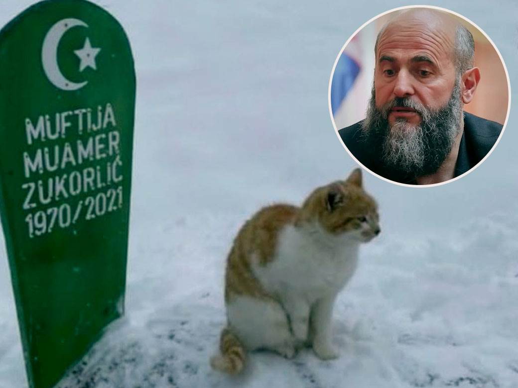 Mačak Muamera Zukorlića i dalje na njegovom grobu 