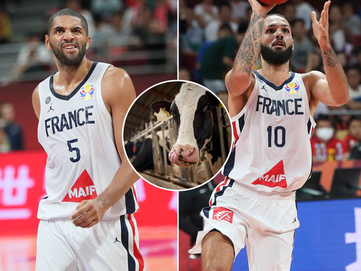  Francuski košarkaši igraju u štali oglasili se NBA asovi 