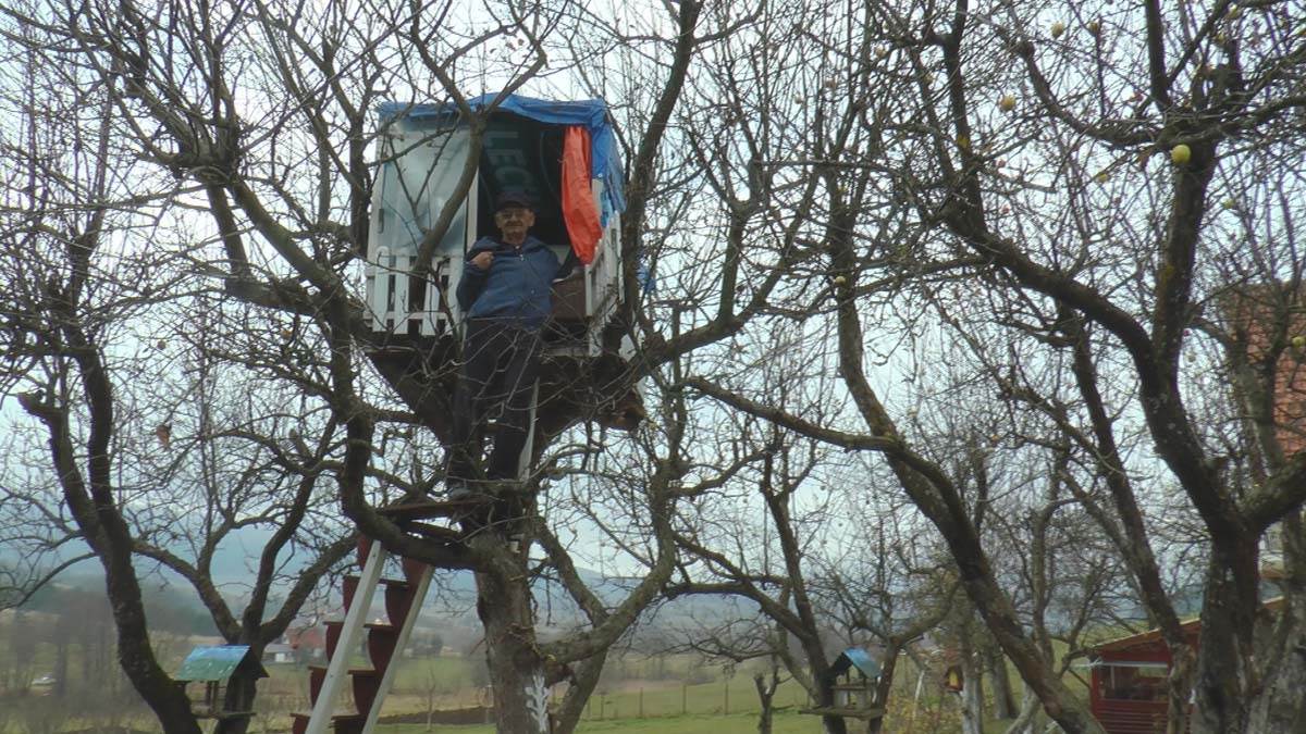  Penzioner Žarko iz Bajine Bašte živi na drvetu 