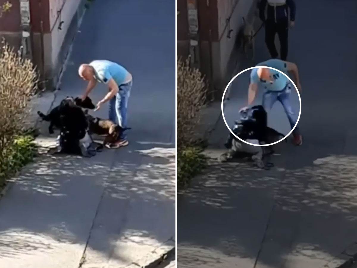  Muškarac u Zemunu udara ženu i šutira psa 
