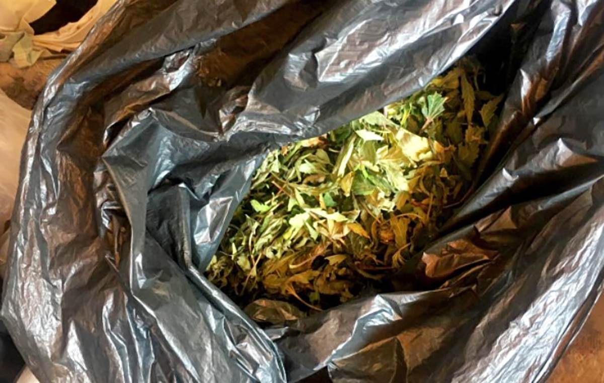  Zapljenjeno 1,3kg marihuane u Beogradu 