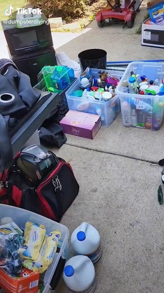  Žena zarađuje prodajući smeće iz kontejnera - TikTok/Screenshot/dumpsterdivingmama 