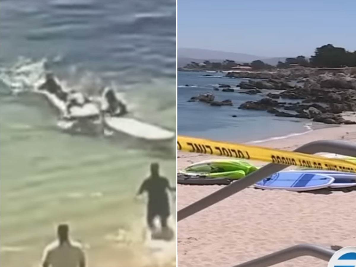 Velika bela ajkula izgrizla surferu noge i ruke 