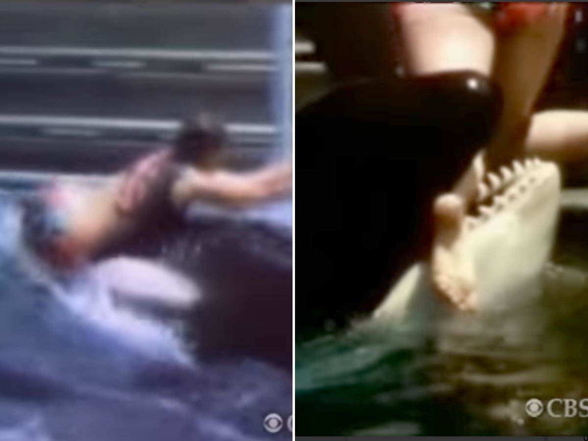  Napad kita ubice u San Dijegu 