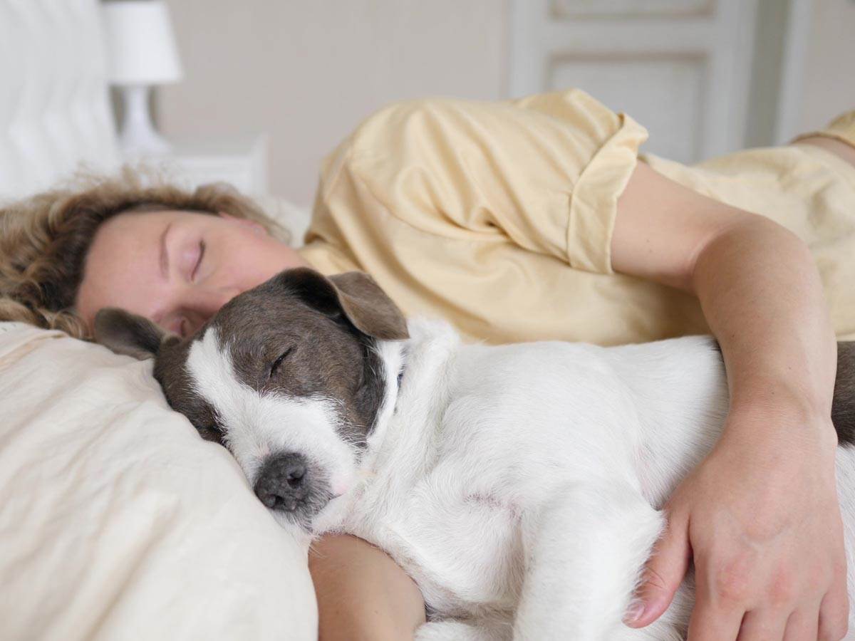  Šta govori položaj u kom pas spava 