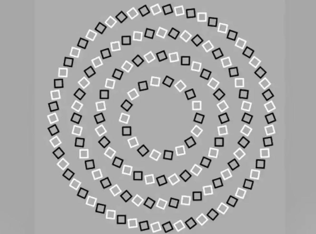  Koliko krugova vidite na slici 