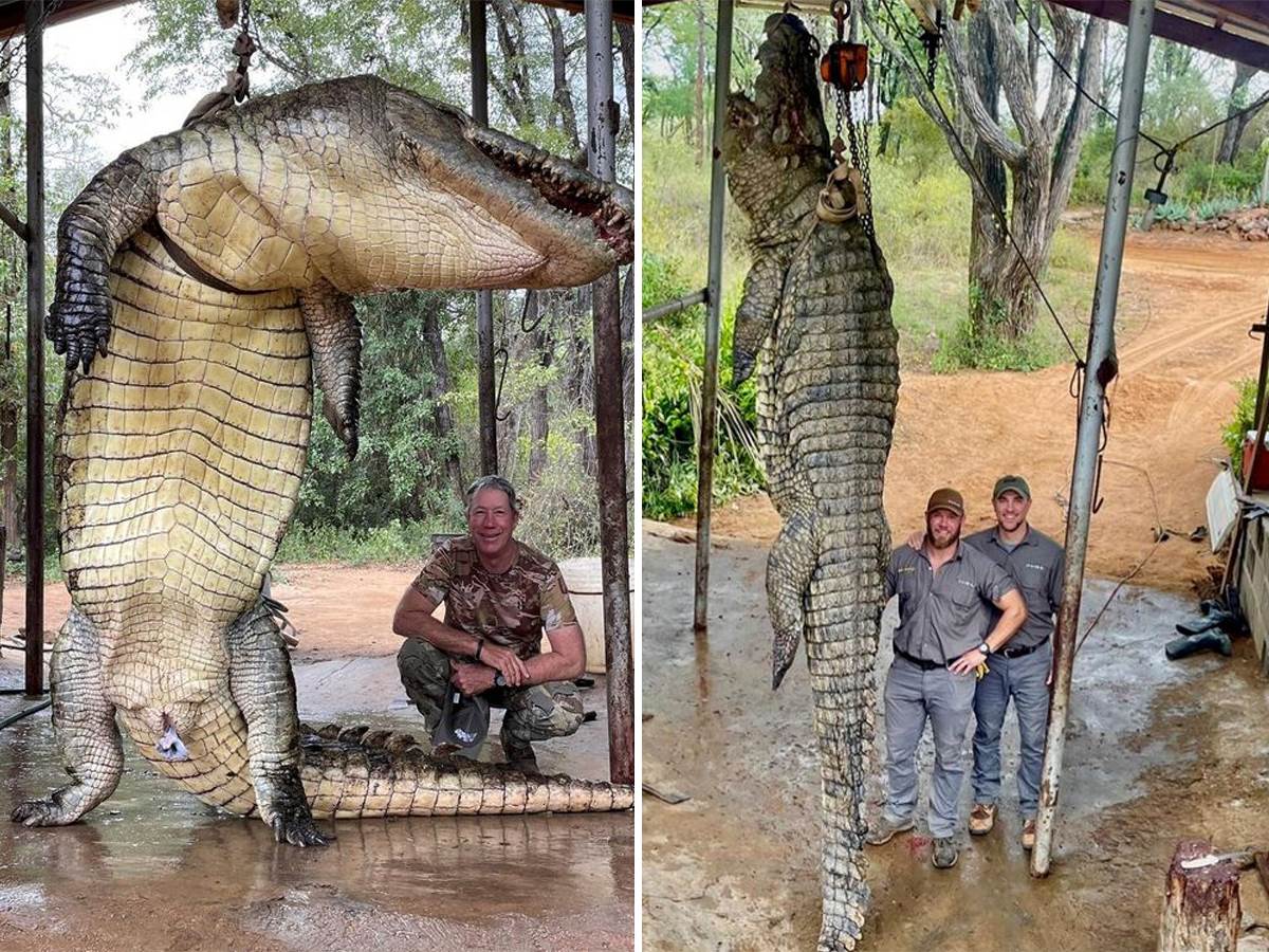  Lovac ubio džinovskog krokodila 
