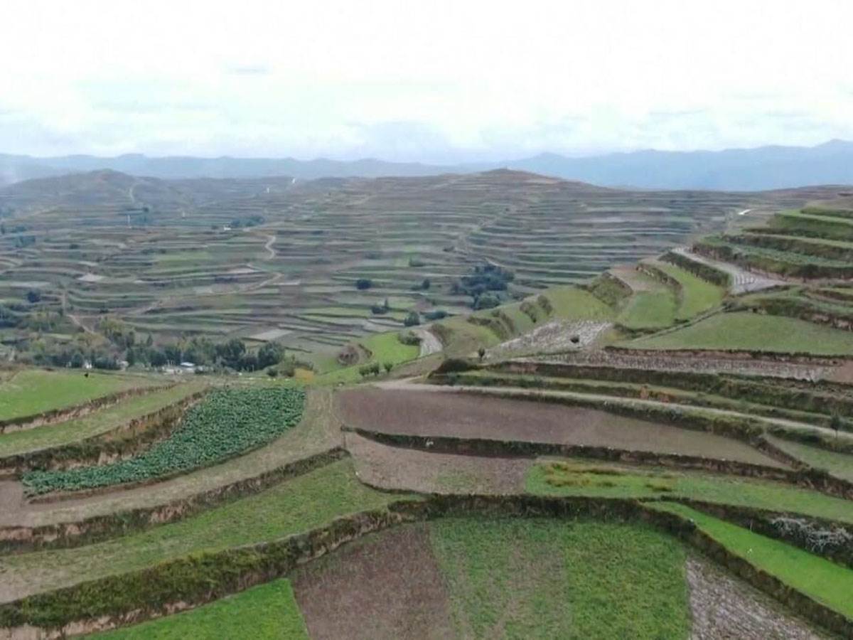  Više od 63.000 poljoprivrednih proizvoda sa zelenim organskim geografskim oznakama u Kini (VIDEO) 