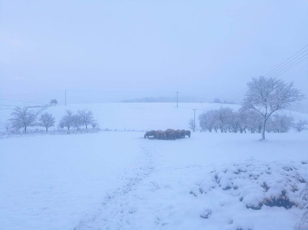  Pao sneg u Zapadnoj Srbiji 