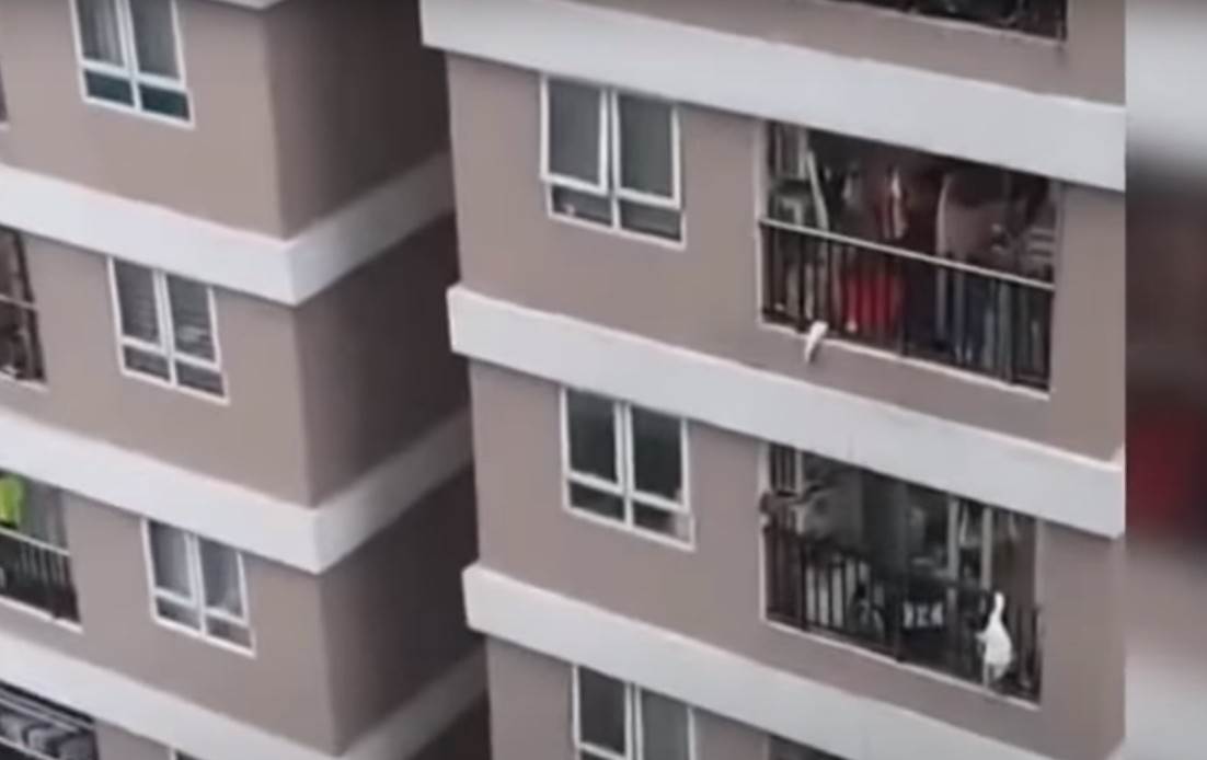  Ruskinja zatvorila dete na balkon i ostavila da se smrzne 