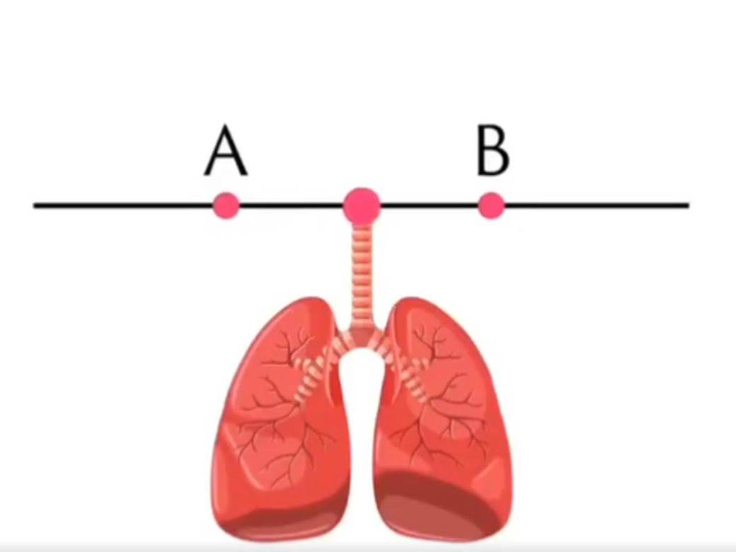  pluća test 