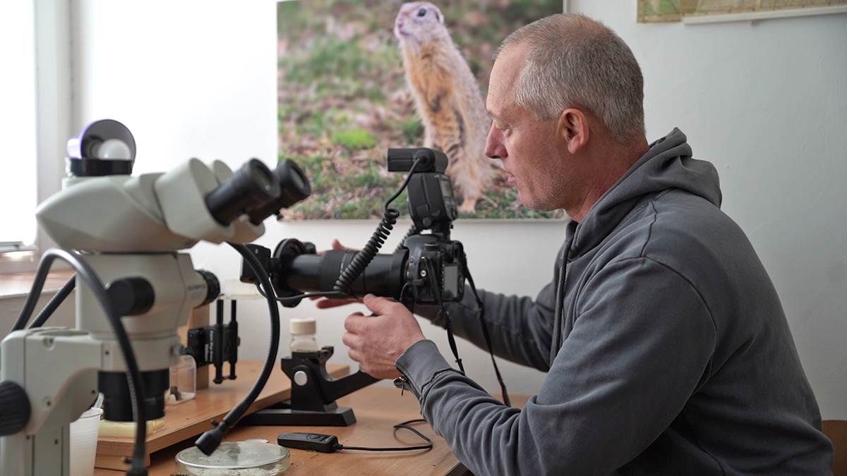  Izložba u Novom Sadu biologa koji je fotografisao 5.000 vrsta živih bića 