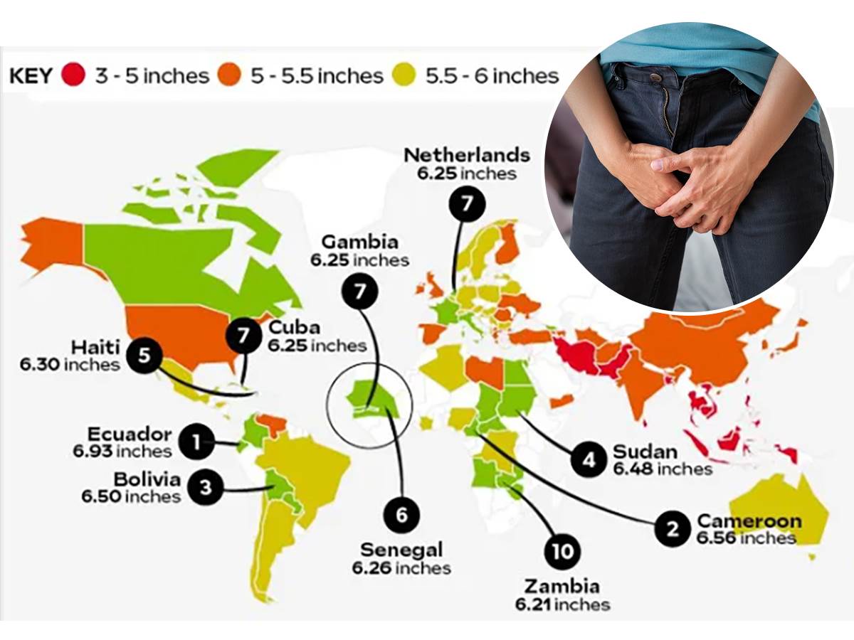  Spisak najvećih polnih organa u svetu 