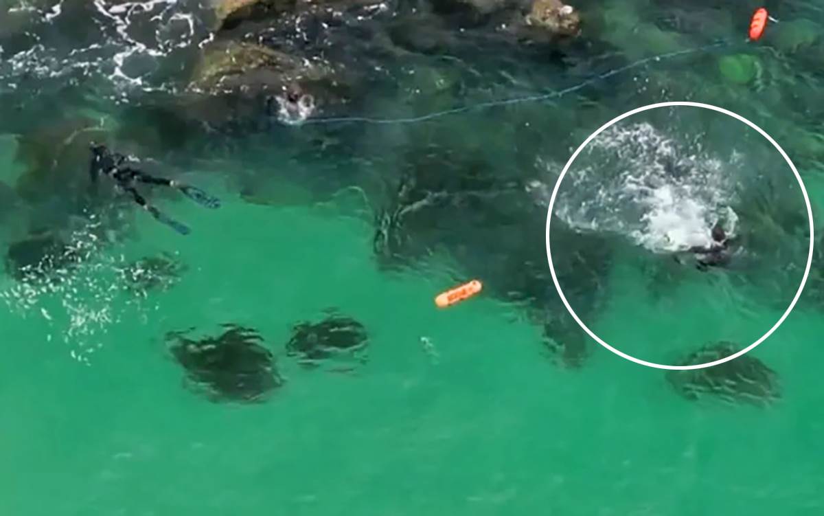  Ajkula pliva između ribara 