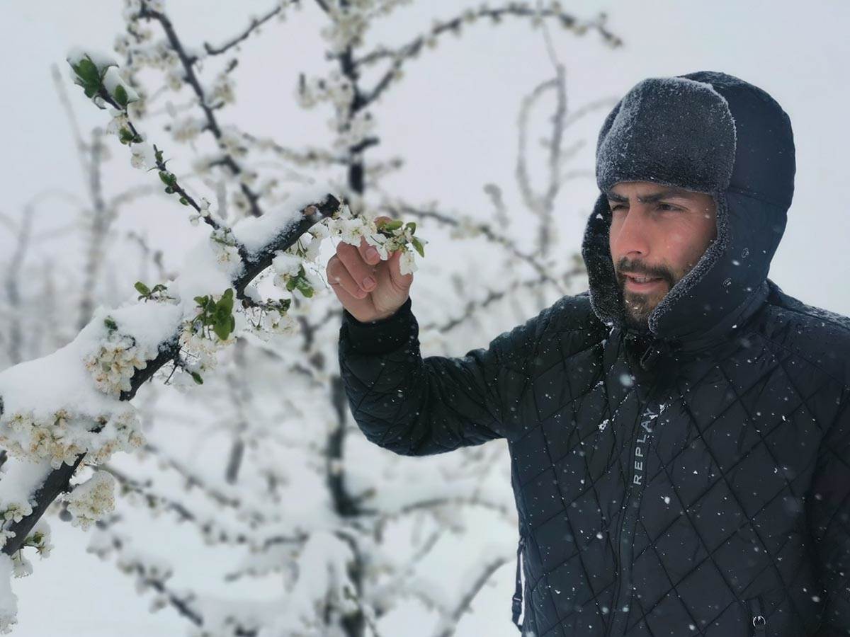  Sneg uništio voće u selima kod Čačka 