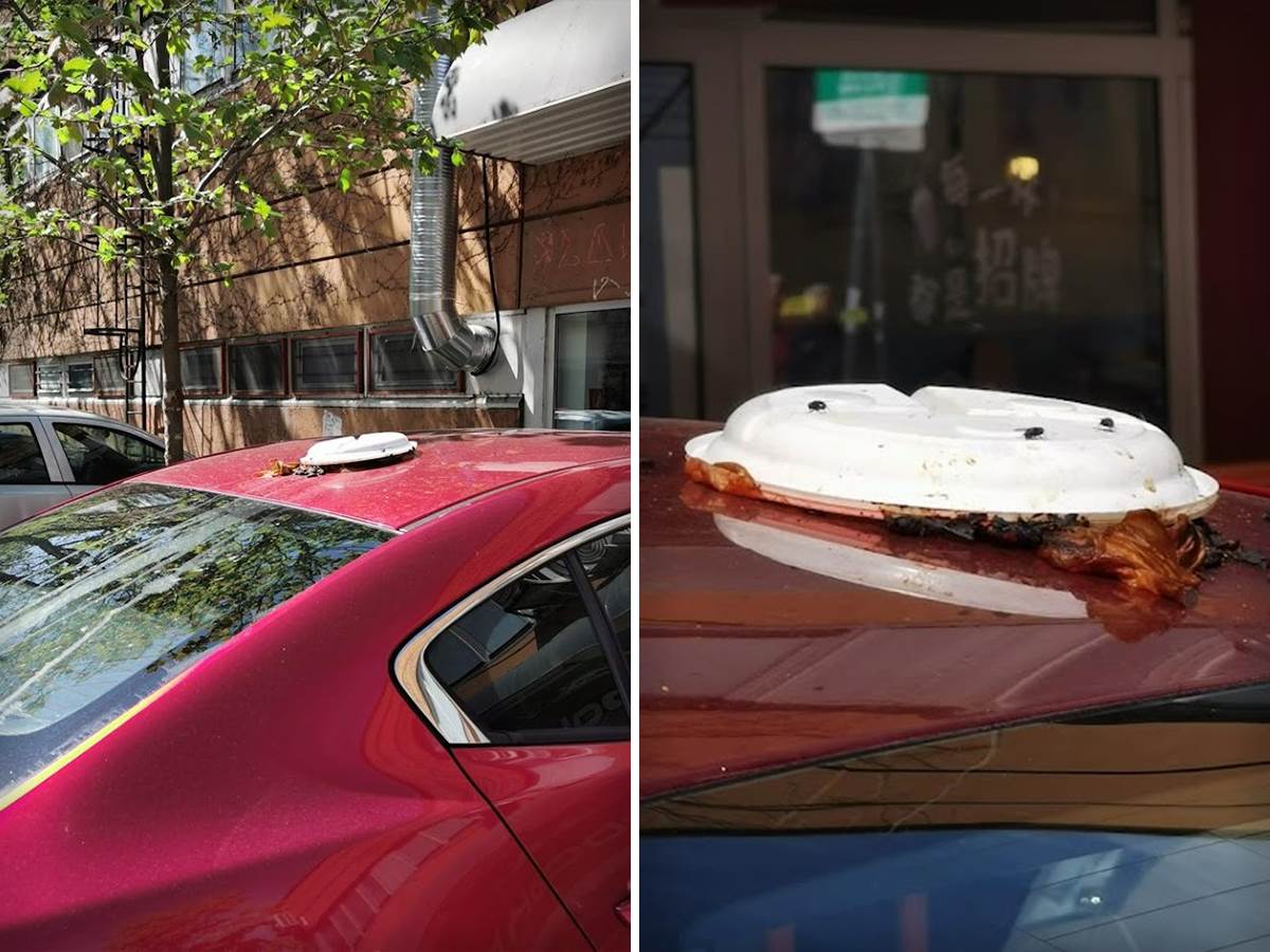  Zalepili mu tanjir sa izmetom na krov od auta 