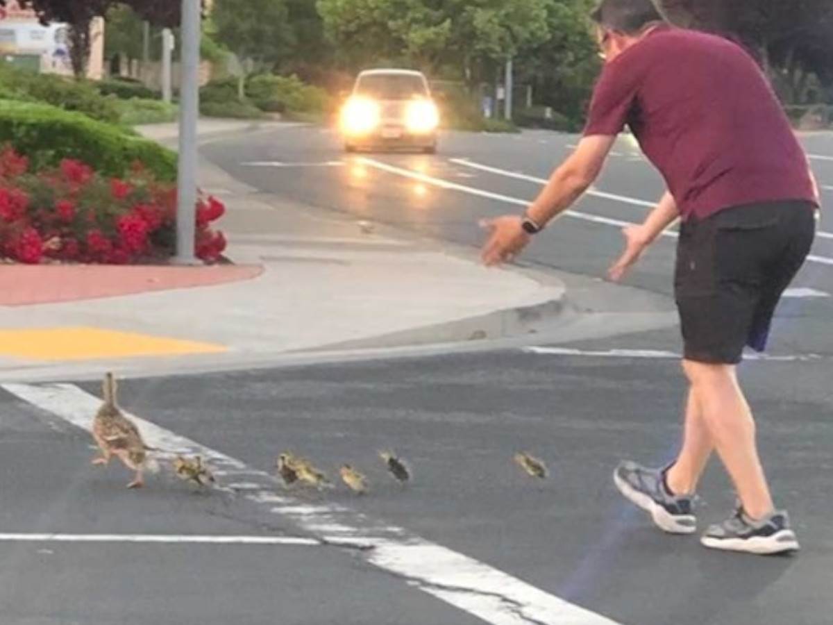  Pomagao patkama da pređe ulicu pa poginuo 