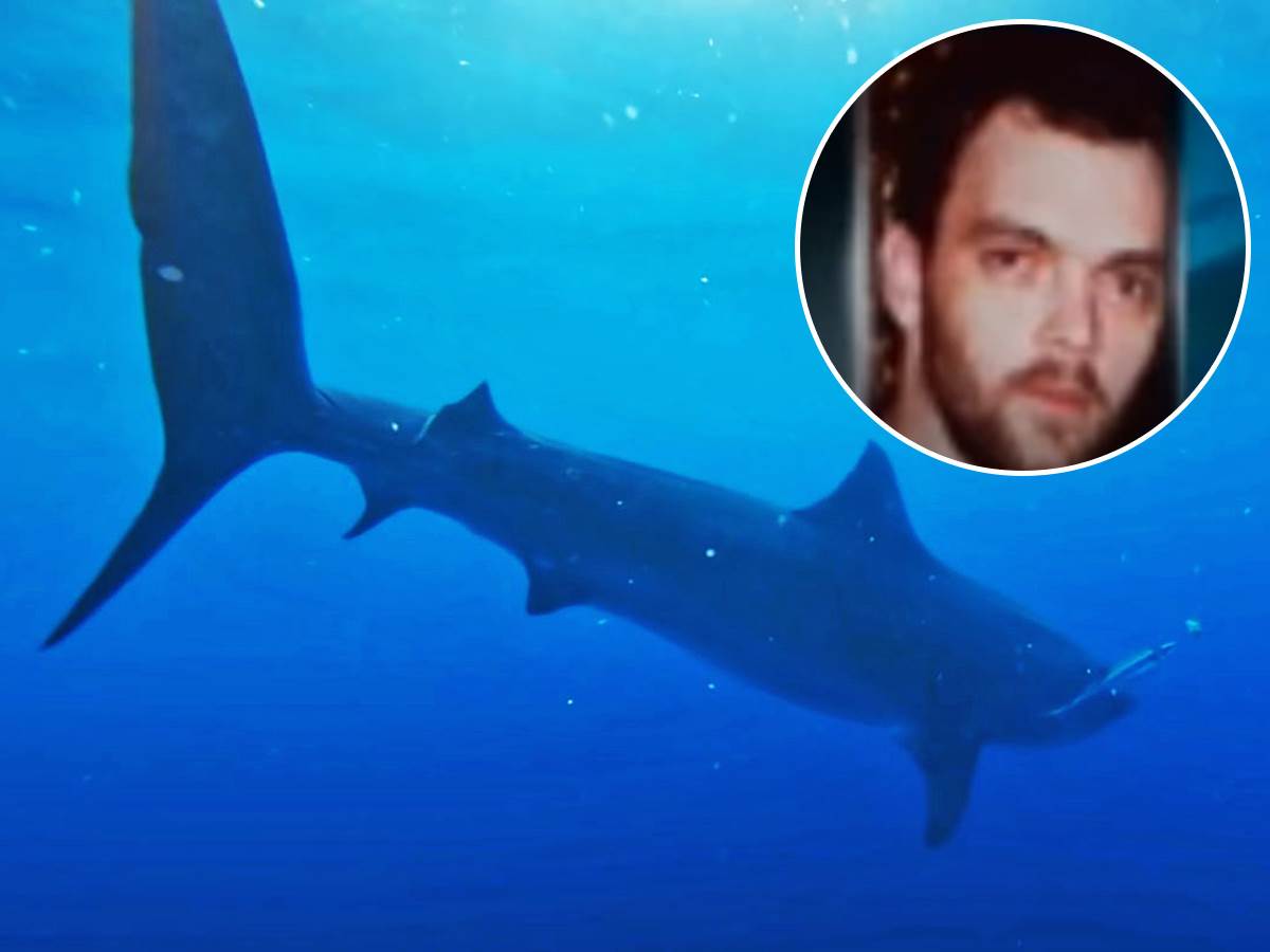  Muškarca u Egiptu napala ajkula, spasili ga delfini 