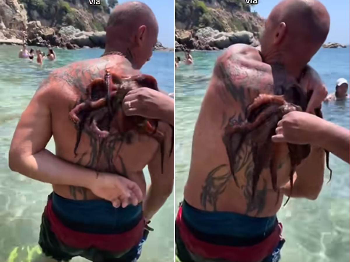  Hobotnica se zalepila za leđa muškarca u Grčkoj 