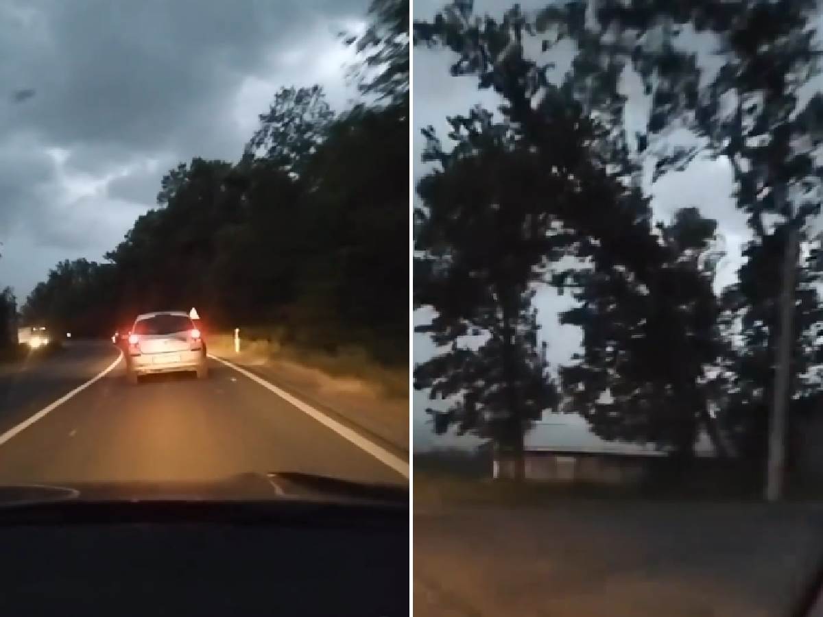  Drvo palo na auto usred vožnje u Beogradu 