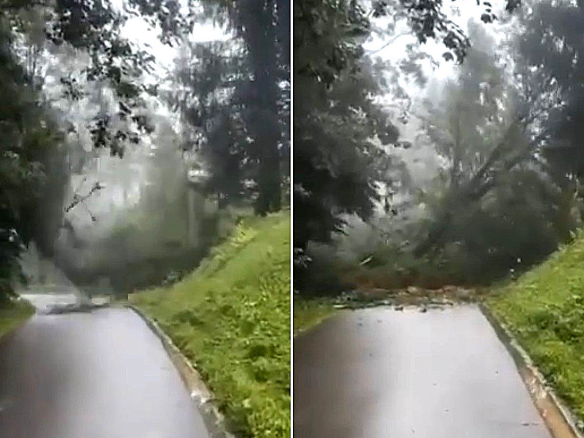  Snimak nevremena u Sloveniji klizište drveća na put 