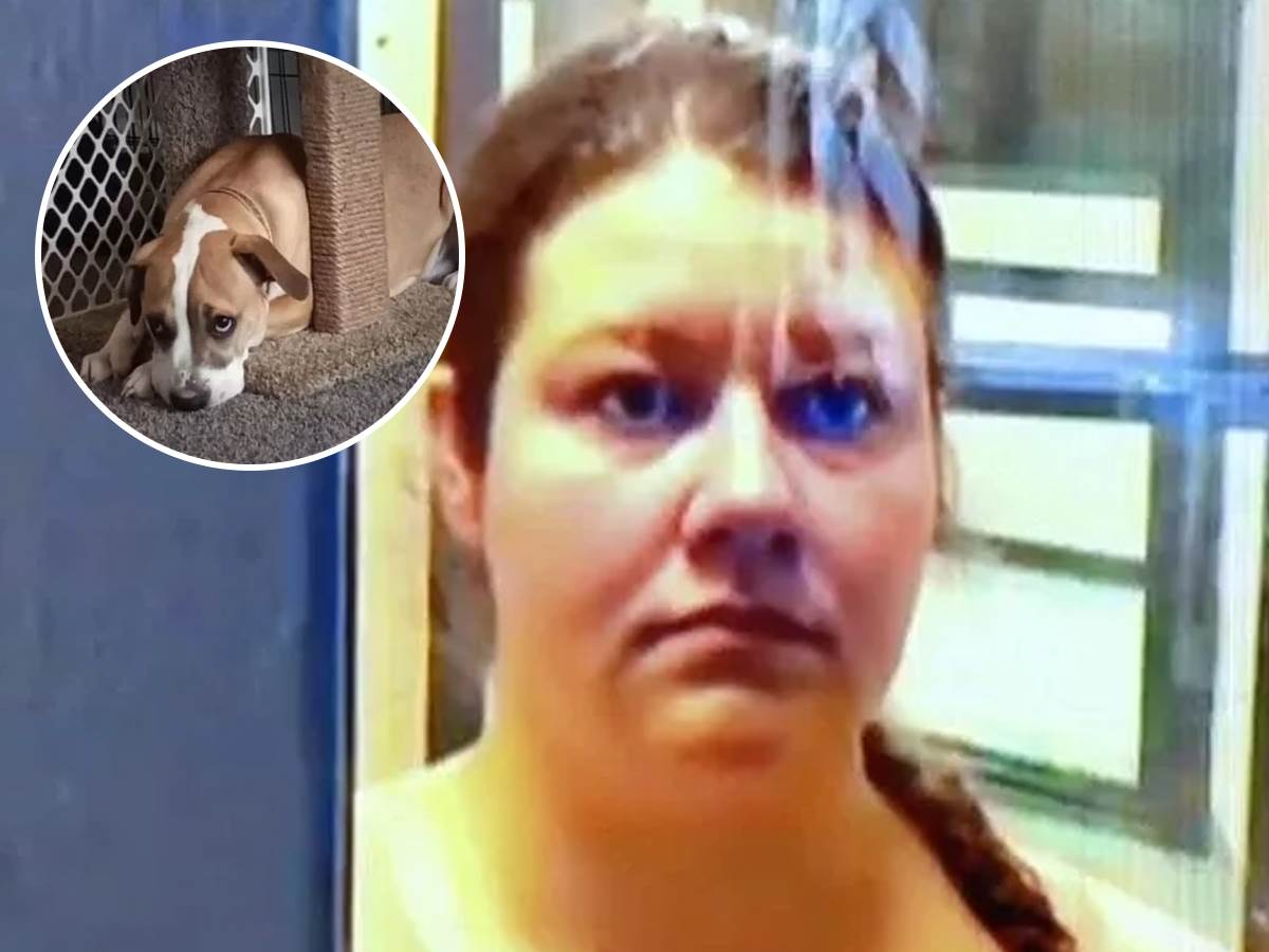  Žena iz Mičigena silovala psa 