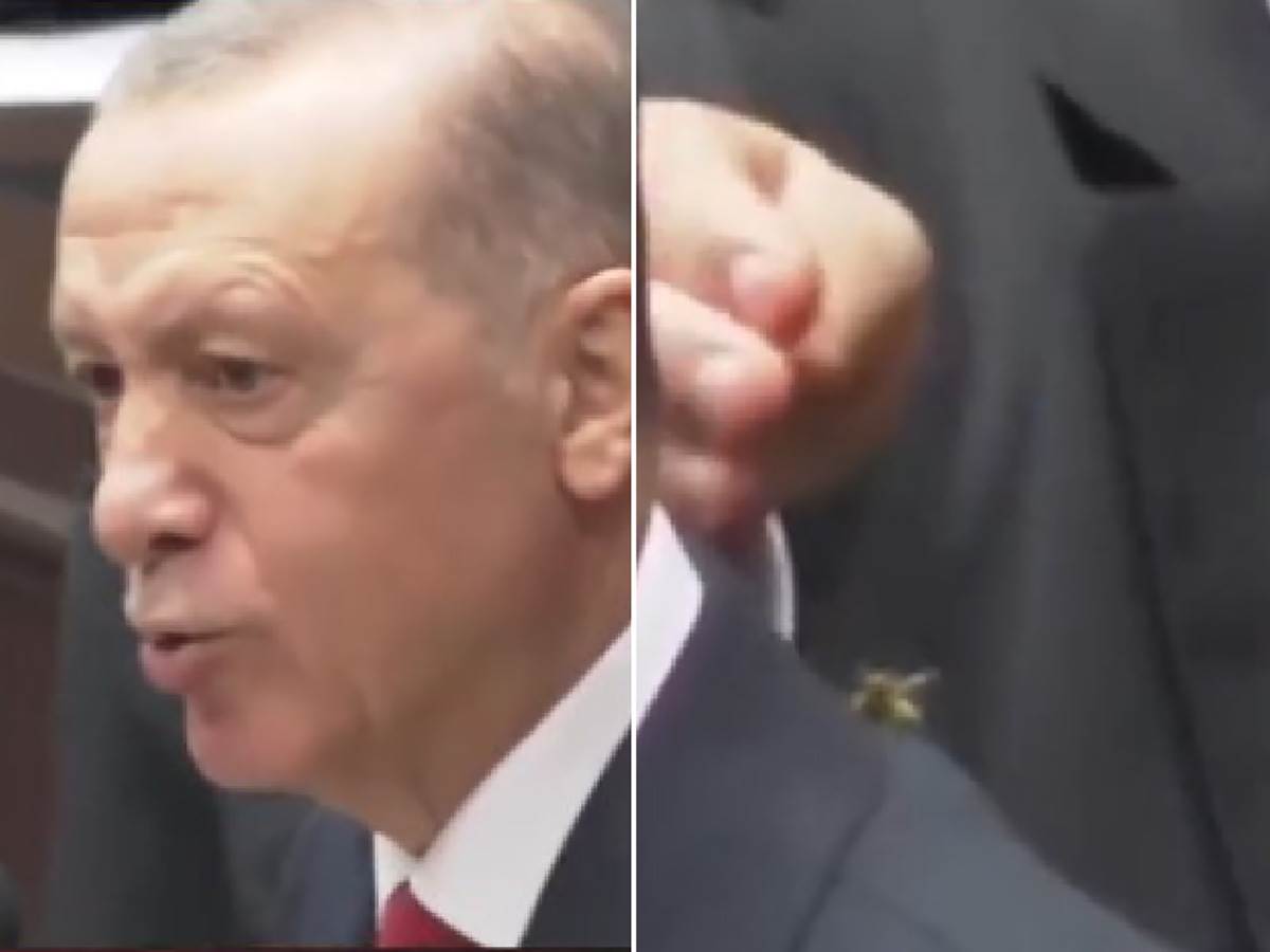  Redžepa Tajipa Erdogana napala osa 