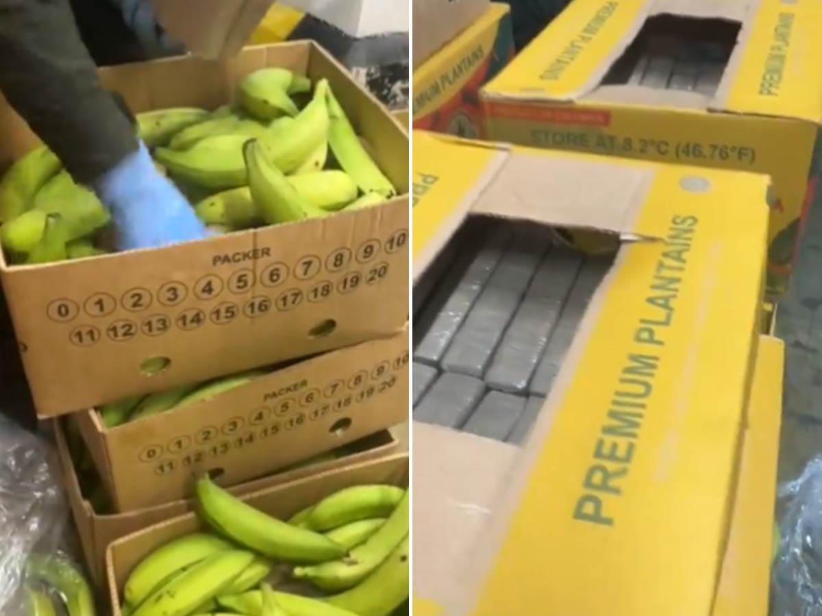  Dve tone kokaina u paketima banana za balkanski kartel 