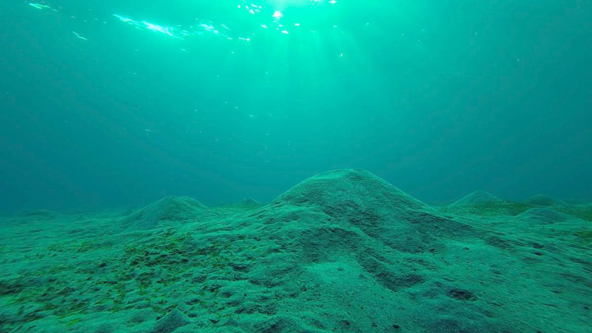  Naučnici otkrili superstrukturu duboko ispod površine Tihog okeana 