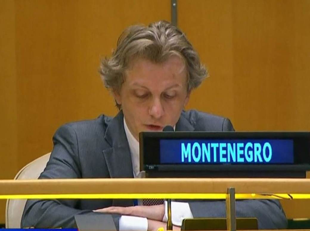  Crna Gora u UN 