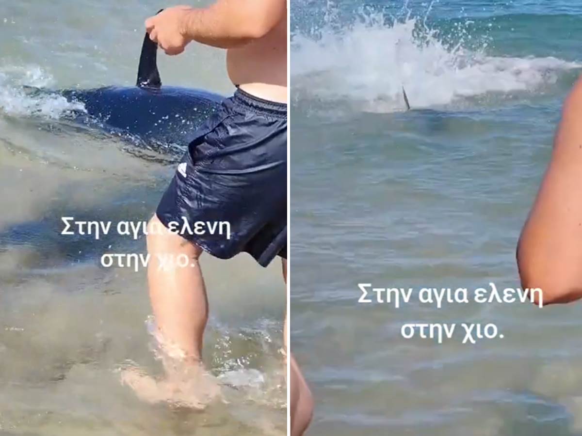  Kupači na grčkom ostrvu pobegli iz vode zbog tune koja liči na ajkulu 