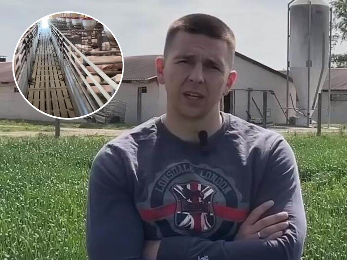 Stefan Radović iz Beograda uz pomoć rodbine kupio prvo tovnu farmu 