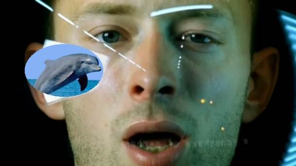  Delfini "otkidaju" na muziku Radiohead 