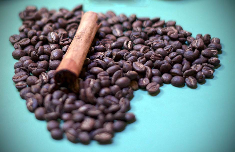  Kafa - uzgajanje, obrada i priprema kafe 