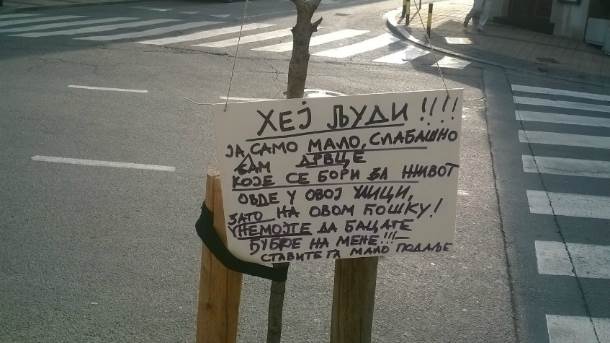  Poruka na drvetu u Beogradu 