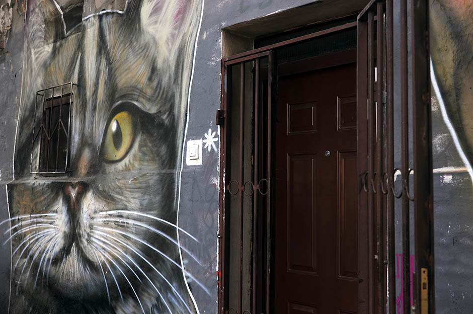  Grafiti Beograd beogradski grafiti grafiti u Beogradu 